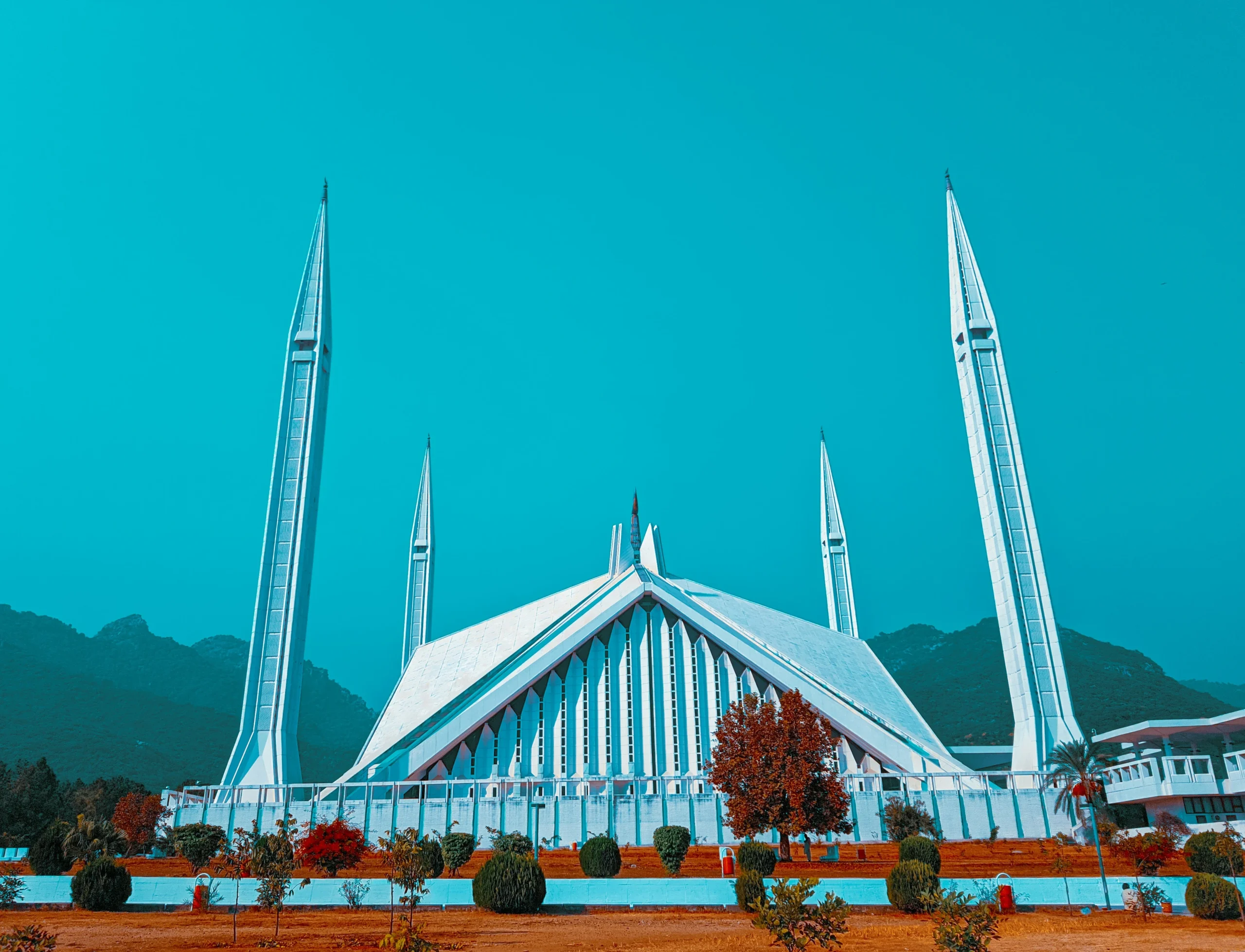 Pest Control in Islamabad Faisal Mosque - Pest Control in Islamabad